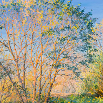 Spring Landscape by Elena Barkhatkova (2017) : Painting Oil on Canvas ...