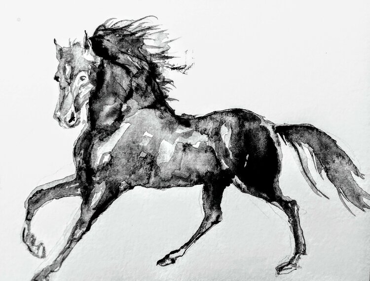 Horse running. Black and white by Daniela Vasileva (2019) : Work on ...