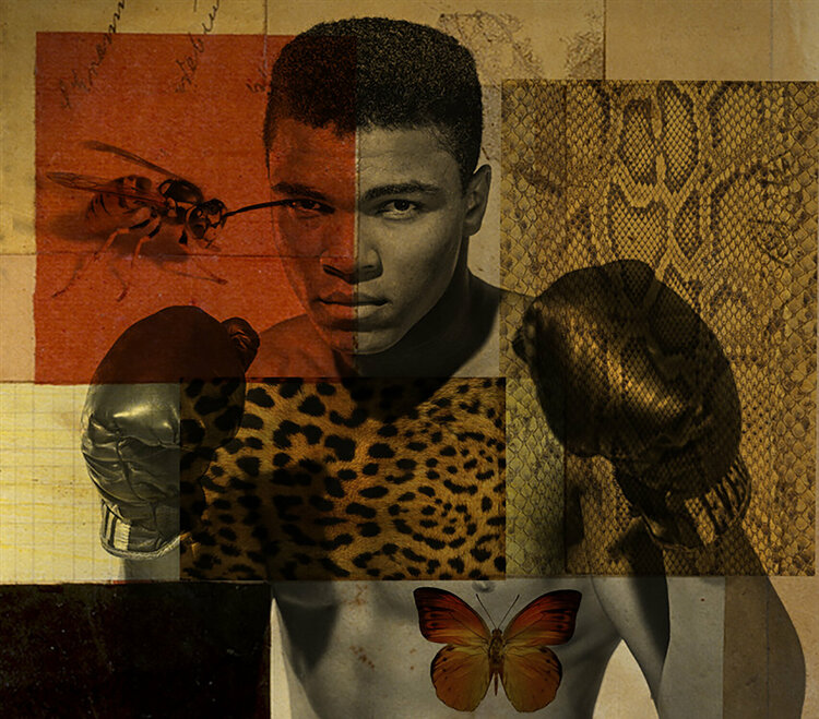 Float Like A Butterfly Sting Like A Bee By Thomas Dellert 15 Print Giclee Print On Paper Singulart