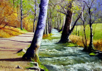 Riachuelo acrilyc and oil painting