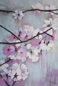 Sakura Cherry Blossom