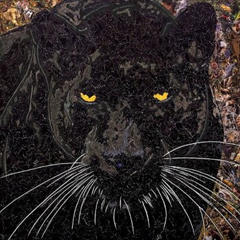 Wild Animals