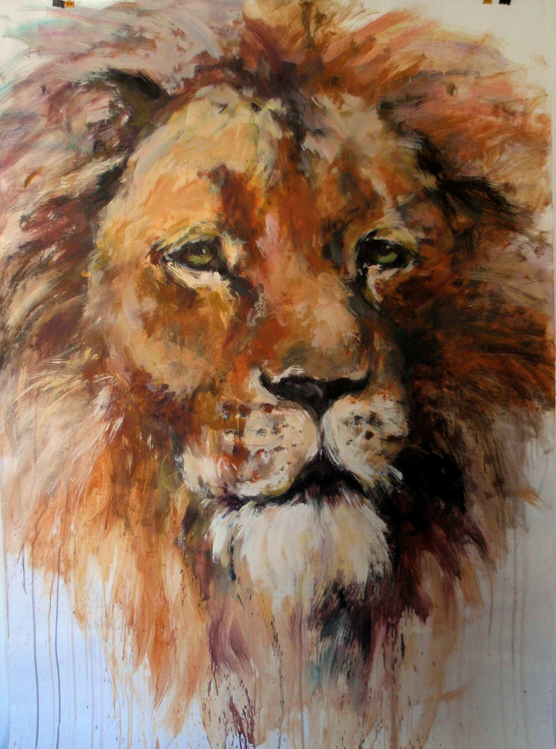 Lion dormant en forme de miroirs Lot de 10 beaucoup de couleurs acrylique