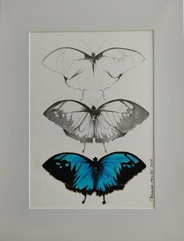 Volar Carolina Mejías