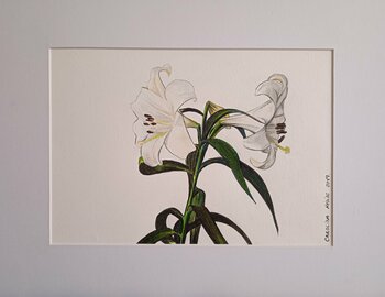 Casa Blanca Carolina Mejías