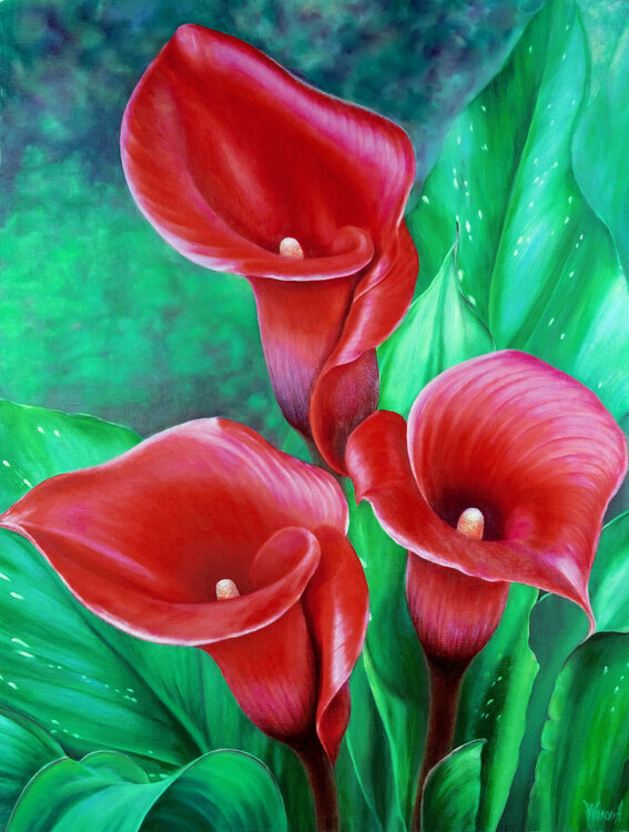 CALAS ROJAS. by Anastasia Woron (2020) : Painting Oil on Canvas - SINGULART