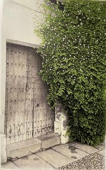 Puerta con jazminero Vicente Raúl Fernández Román