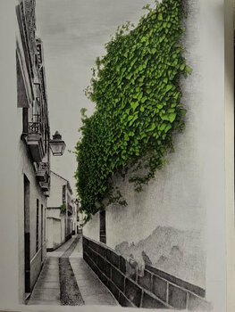 Calle Cabezas . Córdoba Vicente Raúl Fernández Román