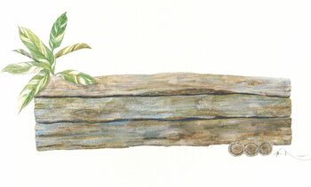 Peter de Mer Bild 604 Peter de Mer