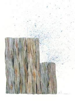 Peter de Mer Bild 605 Peter de Mer