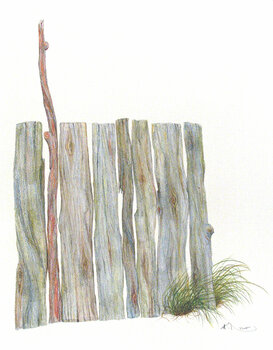 Peter de Mer Bild 606 Peter de Mer