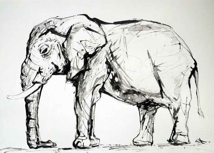 Lot De 2 Dessins Elephant By Lionel Le Jeune Drawing India Ink On Paper Singulart