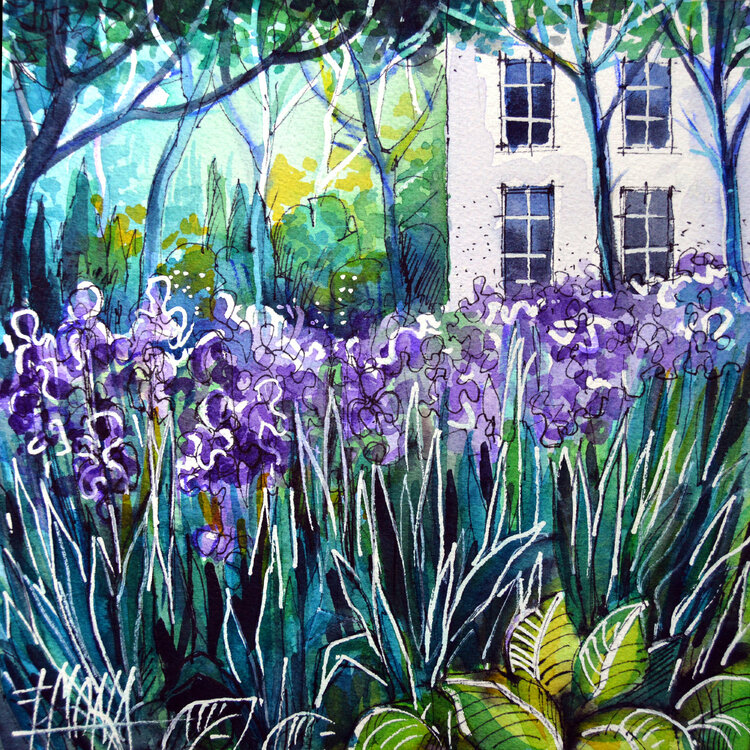 The Iris Garden Watercolor Painting Mona Edulesco By Mona Edulesco Work On Paper Watercolor Ink On Paper Singulart