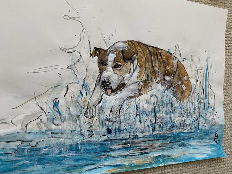 Dog Splashing I Acrylic Painting Art of Water For Sale Animal Portrait  Painting by Kumi Muttu (2020) : Work on Paper Acrylic on Paper - SINGULART