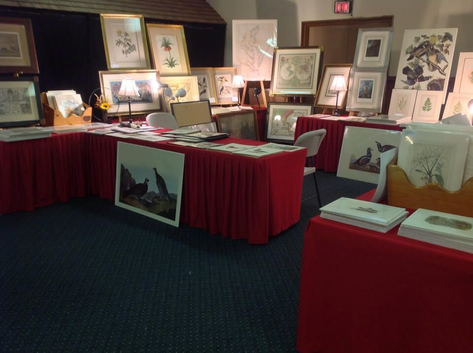 Art galleries in Atlanta Buy art Atlanta from local artists