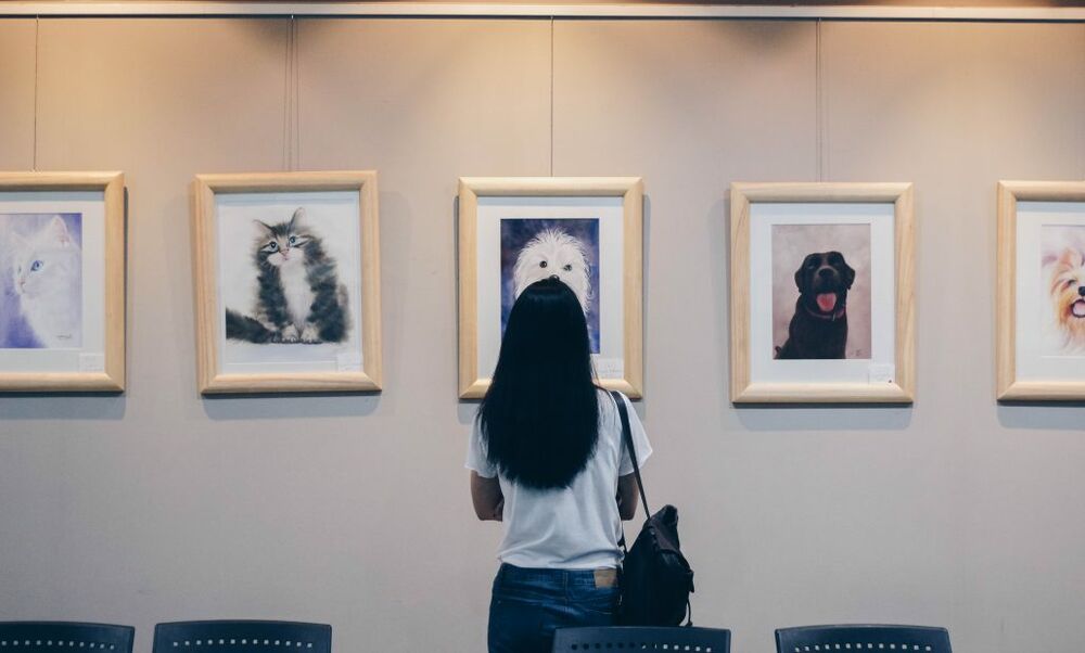 Art Galleries In Oakland Buy Art Oakland From Local Artists